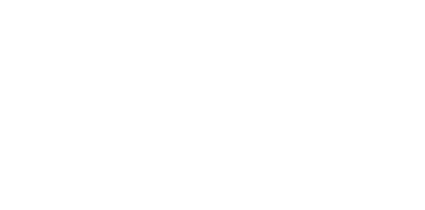Genesis Systems